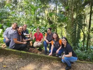 Trilha no Parque Zoobotânico recebe 42 novas árvores - 1