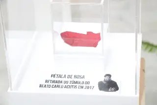 Paróquia São Luís Gonzaga inicia novena em honra ao Beato Carlo Acutis  - 1