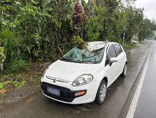 Motorista fica ferido após carro ser atingido por tronco de árvore - 1