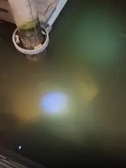 Cadáver é encontrado dentro de carro submerso na Barra Sul, em Balneário Camboriú - 1