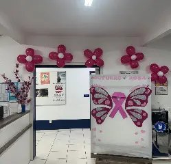 UBS's de Brusque se mobilizam em prol do Outubro Rosa neste sábado - 2