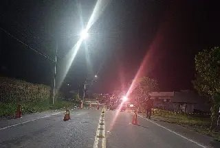 Jovem de 23 anos morre após colisão de carro contra árvore - 2