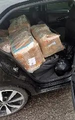 Polícia encontra veículo com mais de 200kg de drogas em rodovia de SC - 1