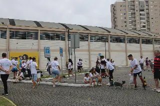 1ª Cãominhada promove conscientização sobre adoção - 3