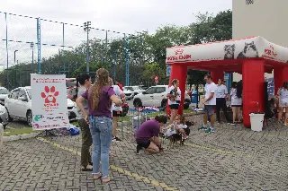 1ª Cãominhada promove conscientização sobre adoção - 4