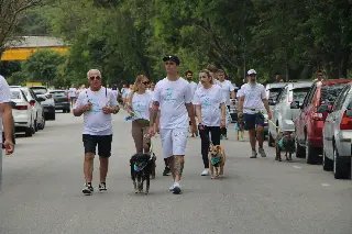 1ª Cãominhada promove conscientização sobre adoção - 1