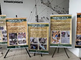 Secretaria de Educação realiza o Seminário de Boas Práticas em Alfabetização - 9
