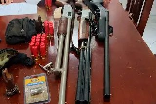 Guabiruba vira alvo de operação contra rede de caça ilegal no Parque Nacional da Serra do Itajaí - 1