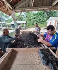 Balanço anual do Horto Florestal mostra Brusque mais verde - 1