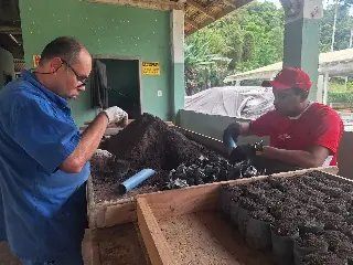 Balanço anual do Horto Florestal mostra Brusque mais verde - 3