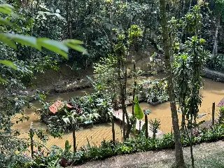 Ilha no Parque Zoobotânico é reformulada - 1