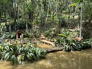 Ilha no Parque Zoobotânico é reformulada - 4