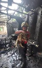 Cachorro é resgatado por bombeiros durante combate a incêndio em residência - 1