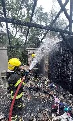 Cachorro é resgatado por bombeiros durante combate a incêndio em residência - 3