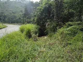Motorista foge do local após capotar carro no Zantão - 7