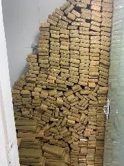 Denúncia ajuda policiais a descobrir quase meia tonelada de droga em imóvel - 1