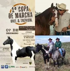 Primeira Copa de Marcha Uvel/Trevisul reúne criadores de Mangalarga Marchador em Brusque - 1