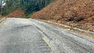 (VÍDEO) Mais uma vez: carreta interrompe tráfego da Gustavo Halfpap  - 1