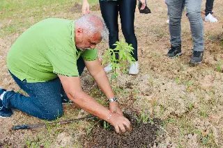Plantio de 100 mudas de árvores compensa emissões de carbono da Fenarreco 2024 - 2
