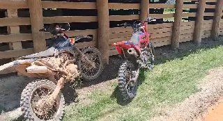 (VÍDEO) Tentativa de evitar colisão com boi termina em acidente em Brusque - 1