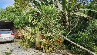 (ÁUDIO) Número de ocorrências relacionadas à chuva passa de 100 em Brusque - 3