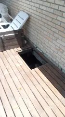 Idoso morre eletrocutado ao tentar realizar reparos no porão de casa - 3