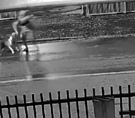 (VÍDEO) Câmera flagra momento em que pitbull ataca mãe e filha no Rio Branco - 2