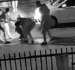 (VÍDEO) Câmera flagra momento em que pitbull ataca mãe e filha no Rio Branco - 1