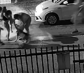 (VÍDEO) Câmera flagra momento em que pitbull ataca mãe e filha no Rio Branco - 3