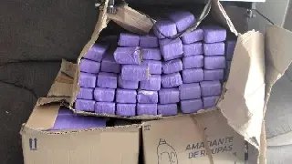 Jovem de 20 anos é preso com mais de 170 quilos de maconha - 1