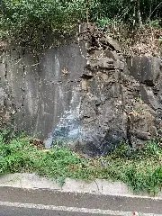 Caminhão perde freio e bate em paredão de pedra em SC  - 5
