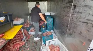 Quase três toneladas de carne estragada são apreendidas em açougue - 2