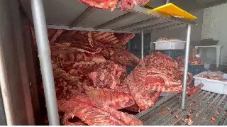 Quase três toneladas de carne estragada são apreendidas em açougue - 4