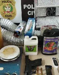 (VÍDEO) Autoridades descobrem estufa para cultivo de maconha em operação - 1