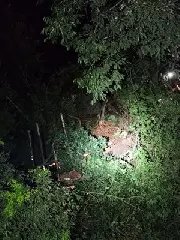Homem e criança de 10 anos morrem após caminhão cair em ribanceira - 3