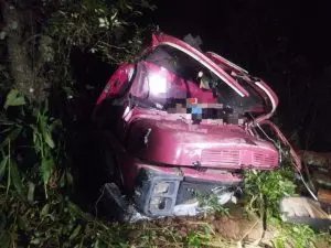 Homem e criança de 10 anos morrem após caminhão cair em ribanceira - 2