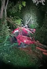 Homem e criança de 10 anos morrem após caminhão cair em ribanceira - 7