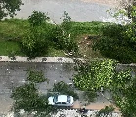 (VÍDEO) Tempestade deixa mais de 6 mil imóveis sem luz e causa estragos em Brusque - 5