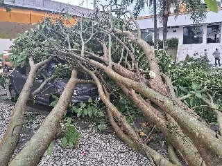 (VÍDEO) Tempestade deixa mais de 6 mil imóveis sem luz e causa estragos em Brusque - 6