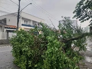 Tempestade causa estragos em Brusque e deixa 12 desalojados - 9