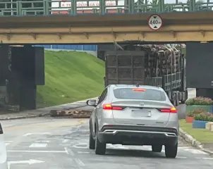 Caminhão derruba toras de madeira ao tentar passar sob ponte, em Brusque - 1