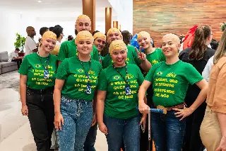 Colaboradores da Havan entram no clima do Carnaval - 1