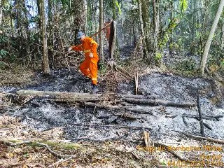 Queima de lixo causa incêndio em vegetação em Gaspar - 2