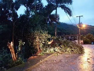 Defesa Civil registra 17 ocorrências durante temporal desta terça-feira - 4