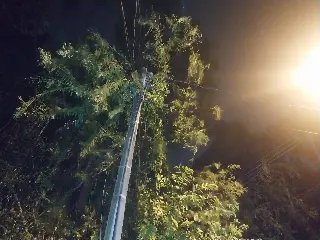 Defesa Civil registra 17 ocorrências durante temporal desta terça-feira - 3