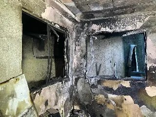 Gatinho é resgatado com vida durante incêndio em casa de Blumenau - 1