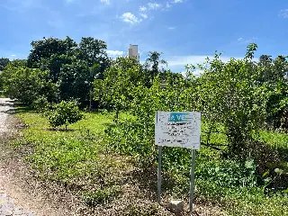 Moradores se opõem à construção de posto de saúde em área verde em Brusque - 1