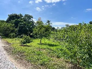 Moradores se opõem à construção de posto de saúde em área verde em Brusque - 2