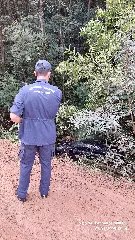 Carro com quatro ocupantes cai em ribanceira e ninguém se fere - 3