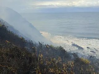 Área de vegetação de responsabilidade da Marinha do Brasil é atingida por incêndio, em Itajaí - 3